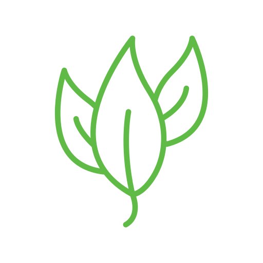 Alt Image